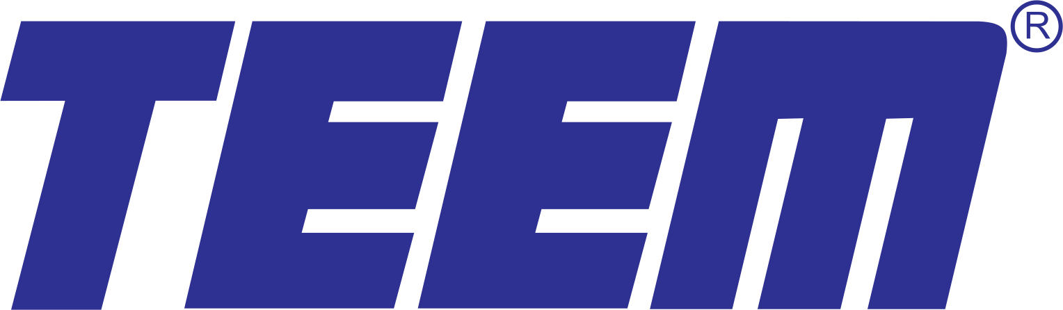 TEEM logo